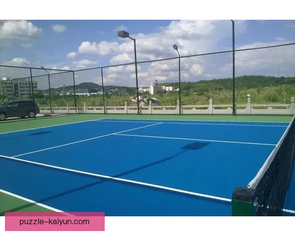 探索精彩：全新球场参观指南带您领略运动场地背后的故事