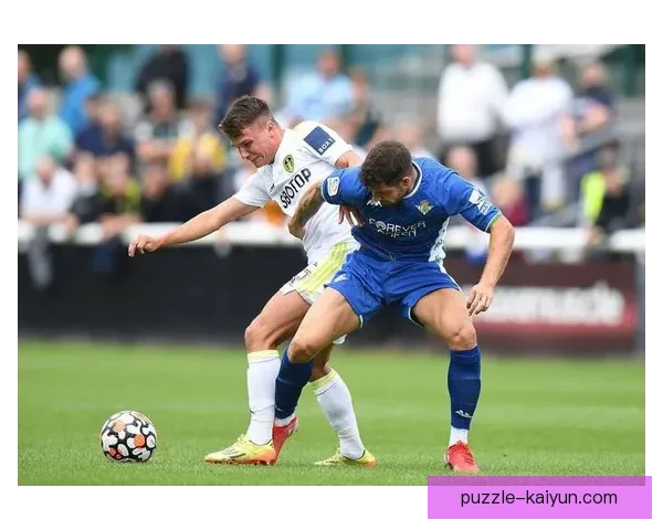 富勒姆在英超赛季中表现稳健，球队士气高涨备受关注