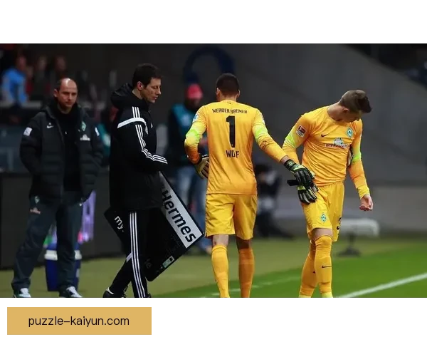 费内巴切球队结构分析：实力与战术素养双重提升引关注