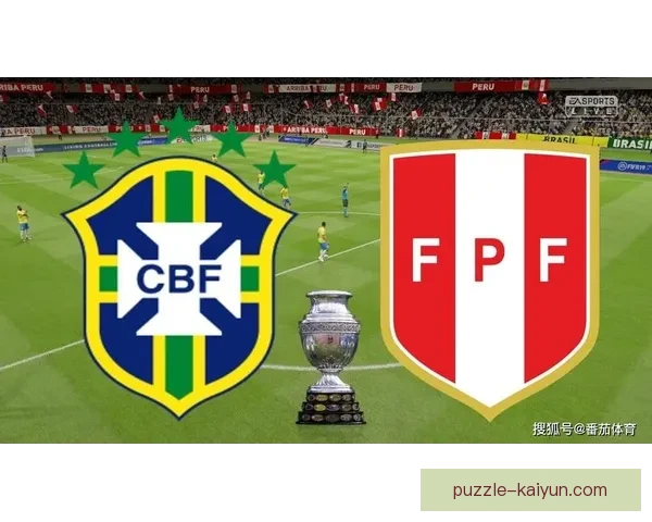 南美足球转会趋势分析：市场活跃程度持续提升，球员流动频繁